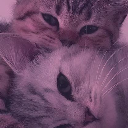 ItsMeKaori_'s avatar