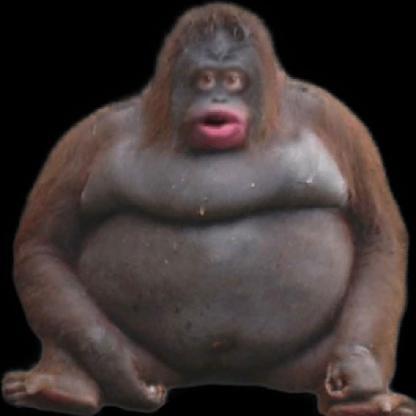 MLGTriTip's avatar