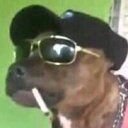 reigliss's avatar