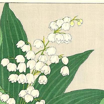 Lapillon-de-mai's avatar