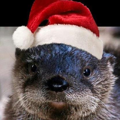 Otterly_Erste's avatar