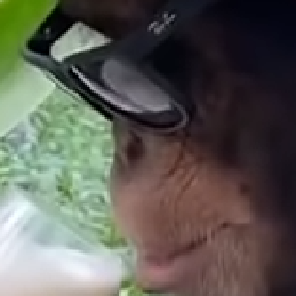 jackand399992's avatar