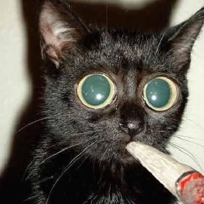 UzaaRd's avatar