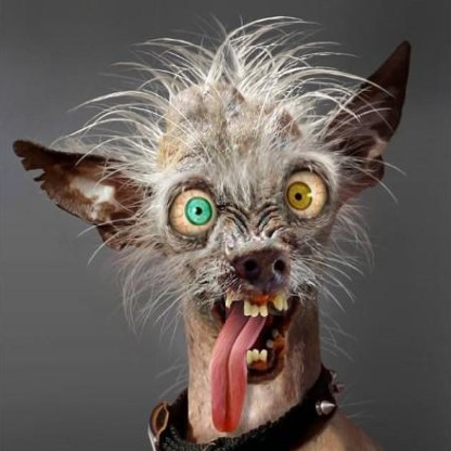 JTF2_MADDOG_QC's avatar