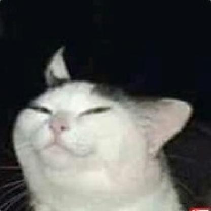 BrokkoliciousTTV's avatar