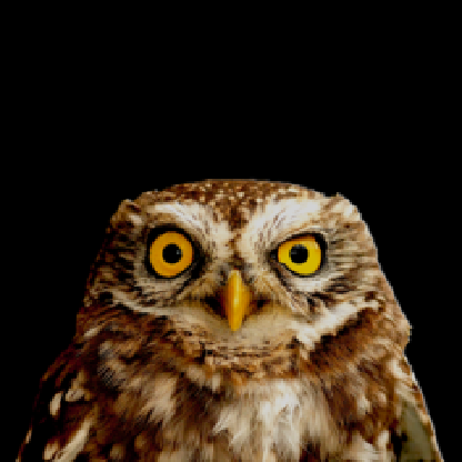 FerreroRocherer's avatar