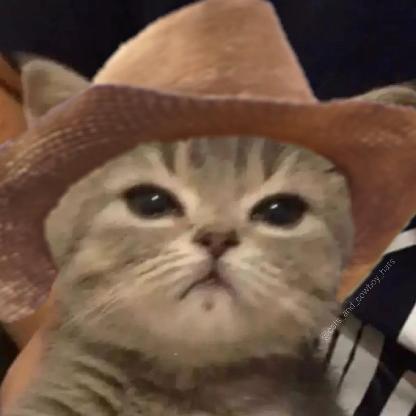 Shouldgotobed's avatar