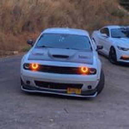 saeedalsultan's avatar