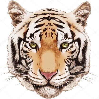 iH_TIGER's avatar