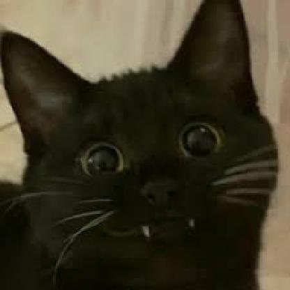 o0xKATx0o's avatar
