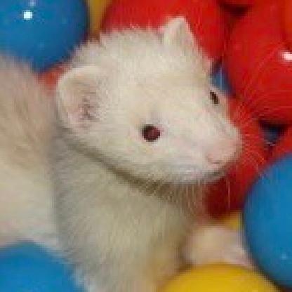 nempne's avatar