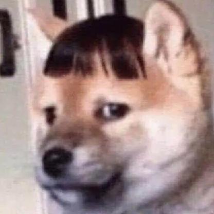 bgdakotaawesomer's avatar