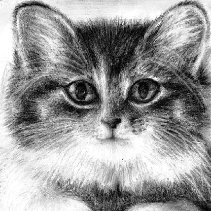 TheJadedKitty's avatar