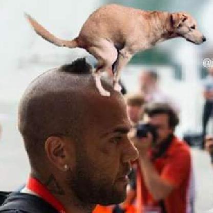 trosdpa's avatar