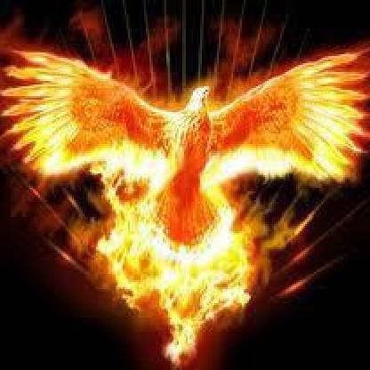 iliphoenixili's avatar