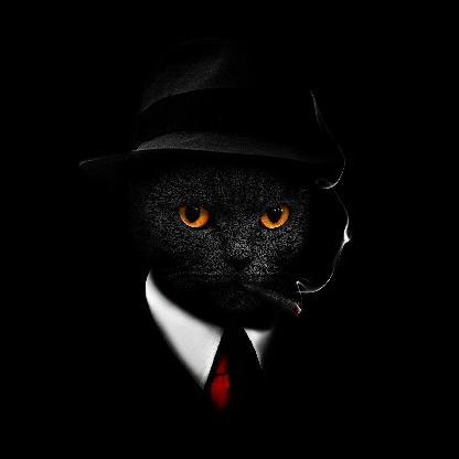 nadril's avatar