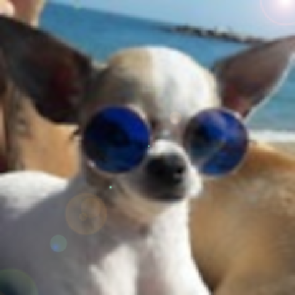 kaosnocturno's avatar