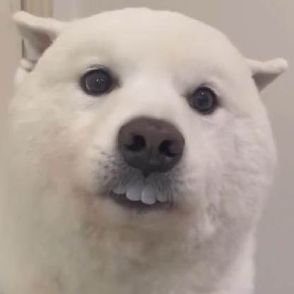 MC_MicrowaveDave's avatar