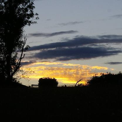 AlexaOfHadestown's avatar