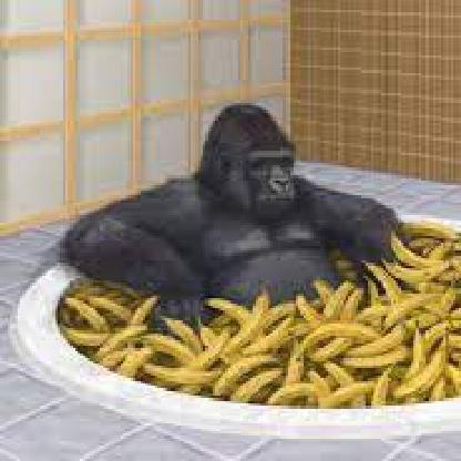 RabbitStewSolids's avatar