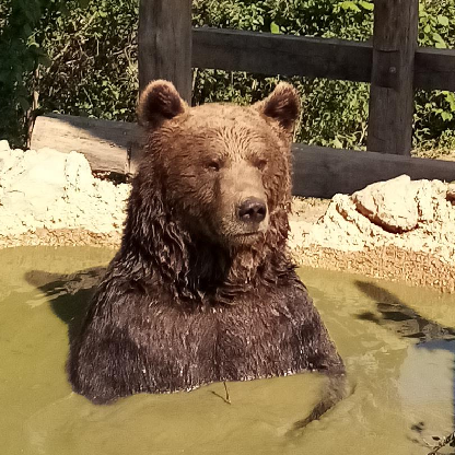 KirinJindosh's avatar