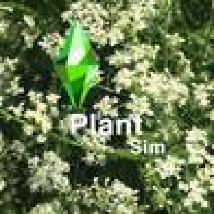 PlantSim4's avatar