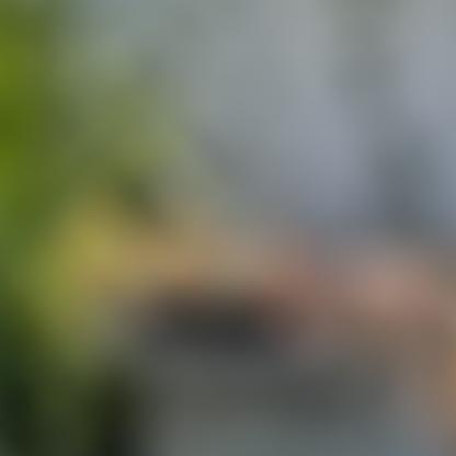 synystro1985's avatar