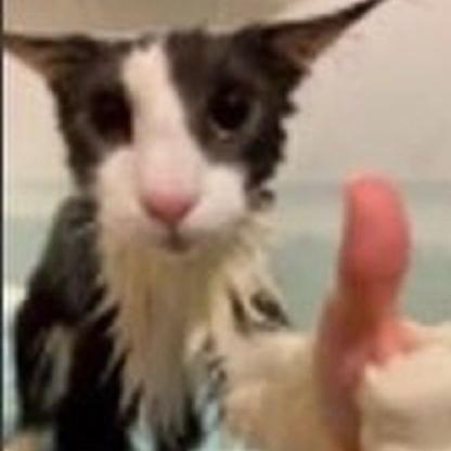 shpobie's avatar