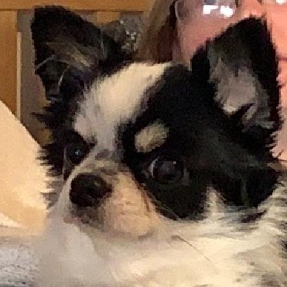 akaPixelChick's avatar