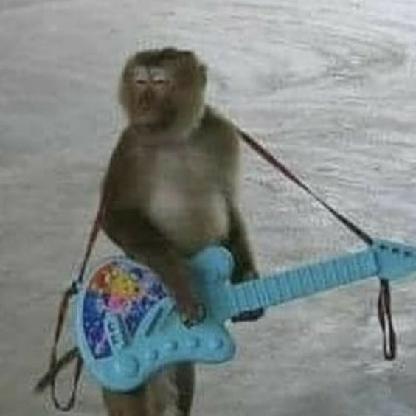 yue567r121i854's avatar