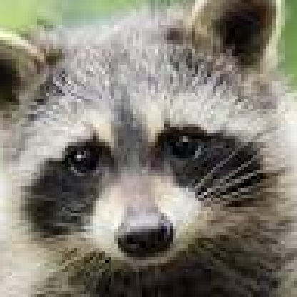 Akutam1's avatar