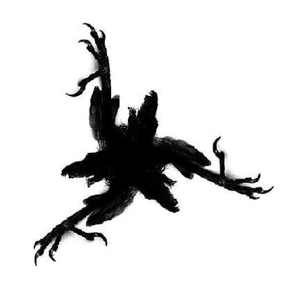 Ghost4orce's avatar