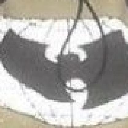 notGeeks's avatar