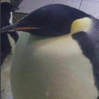 ziom_mouzyn's avatar