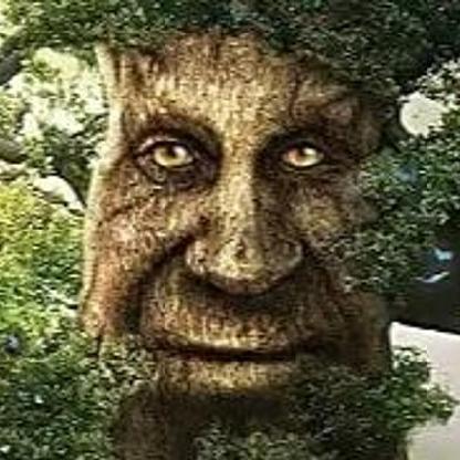 emirhanovich's avatar