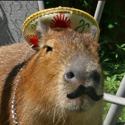 Scrawin4ick's avatar