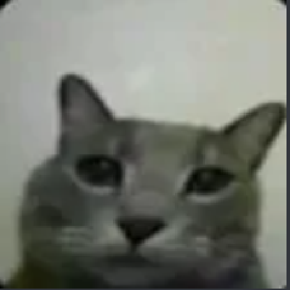 ILuvCatsSoMuch's avatar