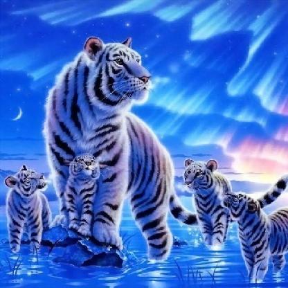 luachiara2558's avatar