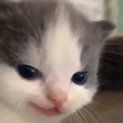 Domino2002PL's avatar