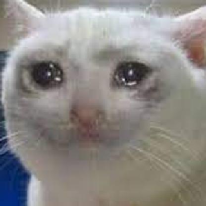 NikaNikca's avatar