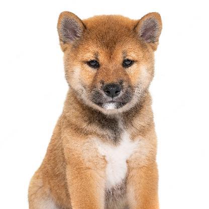 Legendary_Skill's avatar