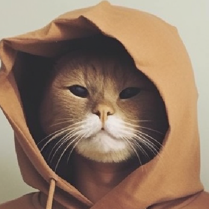OleanderCC's avatar