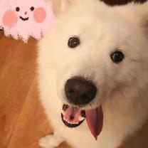QH_Bunny_Lieu's Avatar
