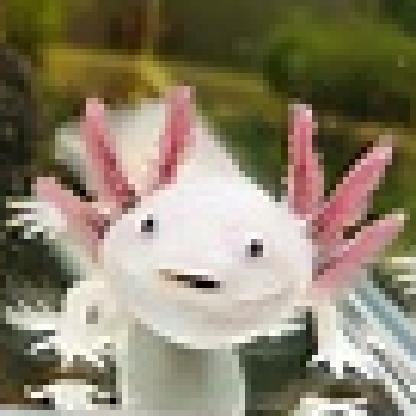 Axolotlgirl629's avatar