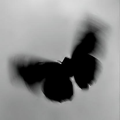 AGKari's avatar
