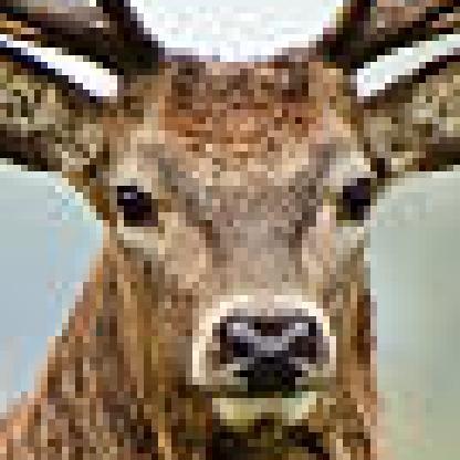morgangdavid's avatar