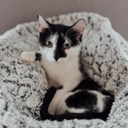 Stargazer2109's avatar