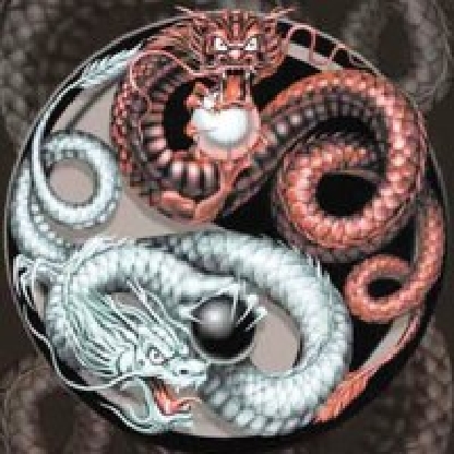 V4rdus's avatar