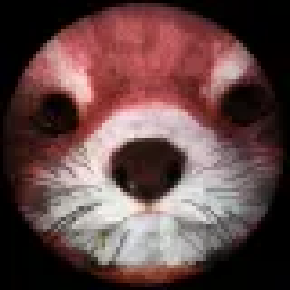 Sasaka2's avatar