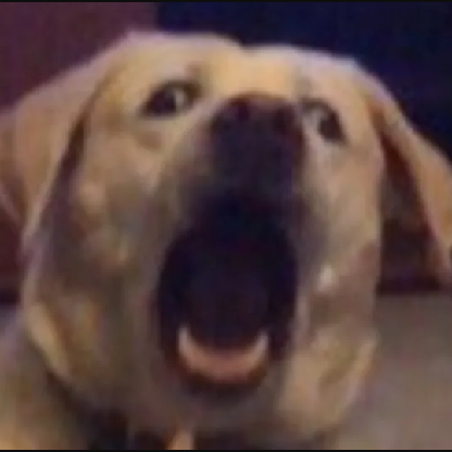 funnyname3's avatar